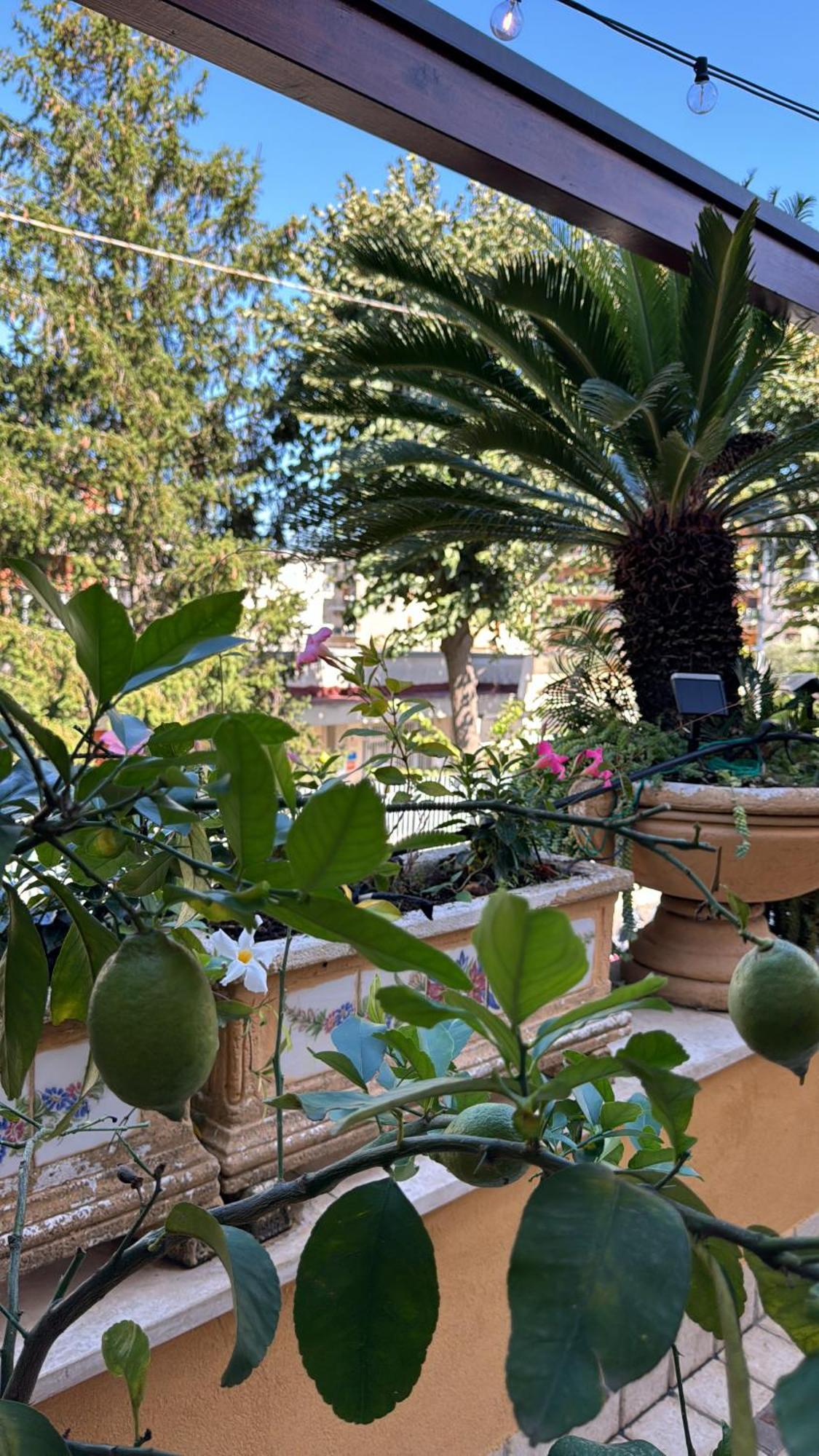 Bed and Breakfast Relais Sorrento Terrace And Relax Exterior foto
